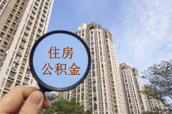 开原辞职多久公积金可以全部取出来吗（辞职之后公积金多长时间可以取）
